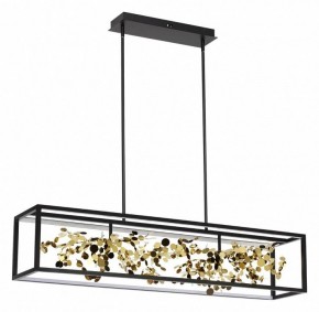 Светильник на штанге Odeon Light Bild 5065/65L в Троицке - troick.mebel24.online | фото