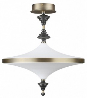 Светильник на штанге Odeon Light Ula 5404/43CL в Троицке - troick.mebel24.online | фото