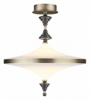 Светильник на штанге Odeon Light Ula 5404/43CL в Троицке - troick.mebel24.online | фото 2