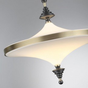 Светильник на штанге Odeon Light Ula 5404/43CL в Троицке - troick.mebel24.online | фото 6