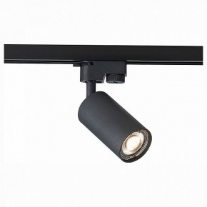 Светильник на штанге ST-Luce Solt ST300.406.01 в Троицке - troick.mebel24.online | фото 1