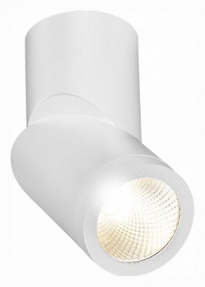 Светильник на штанге ST-Luce ST650 ST650.532.10 в Троицке - troick.mebel24.online | фото 3