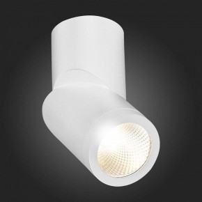 Светильник на штанге ST-Luce ST650 ST650.532.10 в Троицке - troick.mebel24.online | фото 6