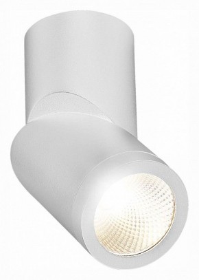 Светильник на штанге ST-Luce ST650 ST650.542.10 в Троицке - troick.mebel24.online | фото 3