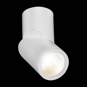 Светильник на штанге ST-Luce ST650 ST650.542.10 в Троицке - troick.mebel24.online | фото 5