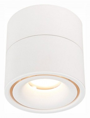 Светильник на штанге ST-Luce ST652 ST652.532.12 в Троицке - troick.mebel24.online | фото 2