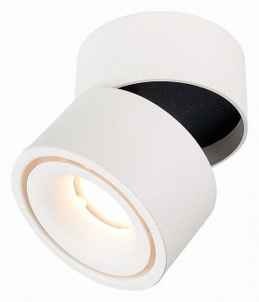 Светильник на штанге ST-Luce ST652 ST652.532.12 в Троицке - troick.mebel24.online | фото 3
