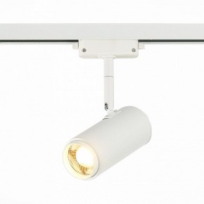 Светильник на штанге ST-Luce Zoom ST600.536.12 в Троицке - troick.mebel24.online | фото 2
