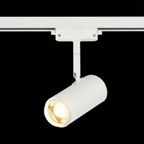 Светильник на штанге ST-Luce Zoom ST600.536.12 в Троицке - troick.mebel24.online | фото 4