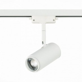 Светильник на штанге ST-Luce Zoom ST600.546.12 в Троицке - troick.mebel24.online | фото 3