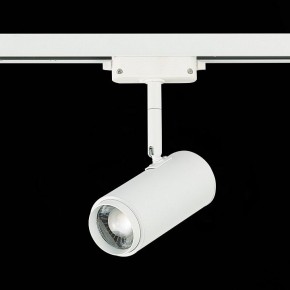 Светильник на штанге ST-Luce Zoom ST600.546.12 в Троицке - troick.mebel24.online | фото 5