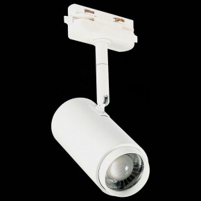 Светильник на штанге ST-Luce Zoom ST600.546.12 в Троицке - troick.mebel24.online | фото 6