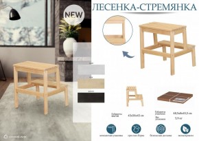 Табурет Стремянка в Троицке - troick.mebel24.online | фото 4