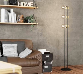 Торшер Eglo ПРОМО Chieveley 43544 в Троицке - troick.mebel24.online | фото 2