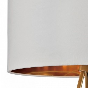 Торшер Lumion Tapioka 8077/1F в Троицке - troick.mebel24.online | фото 6