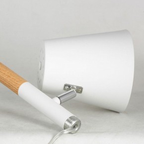 Торшер Lussole Buckeye LSP-0628 в Троицке - troick.mebel24.online | фото 4
