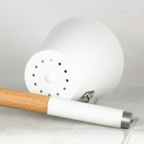 Торшер Lussole Buckeye LSP-0628 в Троицке - troick.mebel24.online | фото 5
