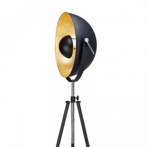 Торшер Lussole Sherrelwood LSP-9824 в Троицке - troick.mebel24.online | фото 2