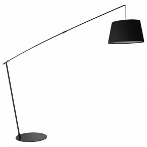 Торшер Lussole Wrangell LSP-0505 в Троицке - troick.mebel24.online | фото