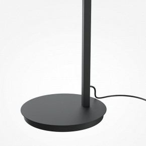 Торшер Maytoni Emphaty MOD363FL-L14B3K в Троицке - troick.mebel24.online | фото 5