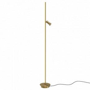 Торшер Maytoni Thin MOD395FL-L28BS3K в Троицке - troick.mebel24.online | фото
