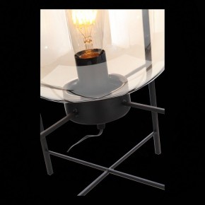 Торшер ST-Luce Burasca SL1050.505.01 в Троицке - troick.mebel24.online | фото 9