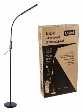 Торшер Uniel ULM-T619 UL-00010178 в Троицке - troick.mebel24.online | фото 2