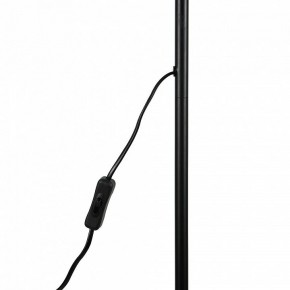 Торшер Uniel UML-T701 UL-00010188 в Троицке - troick.mebel24.online | фото 8