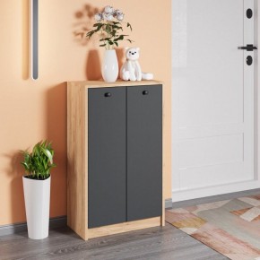 Тумба для обуви Рино в Троицке - troick.mebel24.online | фото 3