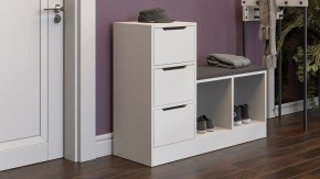 Тумба для обуви Тип 14 в Троицке - troick.mebel24.online | фото 5