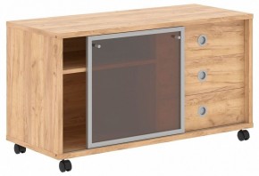 Тумба комбинированная Born B 202.2A в Троицке - troick.mebel24.online | фото