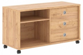Тумба комбинированная Born B 202A в Троицке - troick.mebel24.online | фото