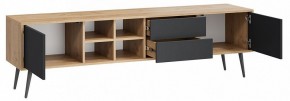 Тумба под ТВ Тип 5 в Троицке - troick.mebel24.online | фото 2