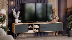 Тумба под ТВ Тип 5 в Троицке - troick.mebel24.online | фото 5