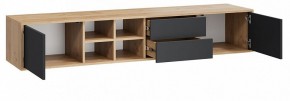Тумба под ТВ Тип 5 в Троицке - troick.mebel24.online | фото 2