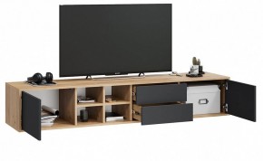 Тумба под ТВ Тип 5 в Троицке - troick.mebel24.online | фото 4