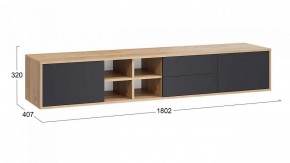 Тумба под ТВ Тип 5 в Троицке - troick.mebel24.online | фото 5