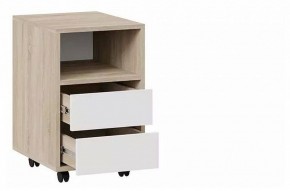 Тумбочка Тип 14 в Троицке - troick.mebel24.online | фото 2