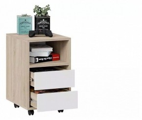 Тумбочка Тип 14 в Троицке - troick.mebel24.online | фото 4