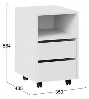 Тумбочка Тип 14 в Троицке - troick.mebel24.online | фото 4