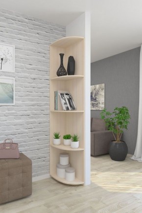 Угловой элемент ЛДСП 1 кат. в Троицке - troick.mebel24.online | фото 4