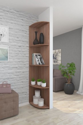 Угловой элемент ЛДСП 1 кат. в Троицке - troick.mebel24.online | фото 8