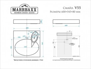 Умывальник над стиральной машиной (600*545*80) Смайл V55D1 (белый) с кронштейном без сифона (V55D1) в Троицке - troick.mebel24.online | фото 2