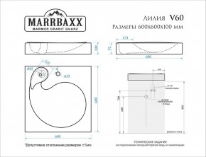 Умывальник над стиральной машиной (600*600х100) Лилия V60 (белый) с кронштейном без сифона (V60) в Троицке - troick.mebel24.online | фото 2