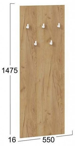 Вешалка настенная Хилтон Исп.2.1 в Троицке - troick.mebel24.online | фото 4