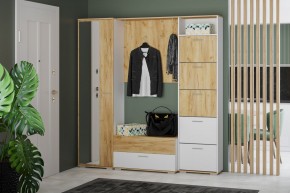 Вешалка НМ 014.16-01 "Санти" (Крафт Золотой) в Троицке - troick.mebel24.online | фото 2