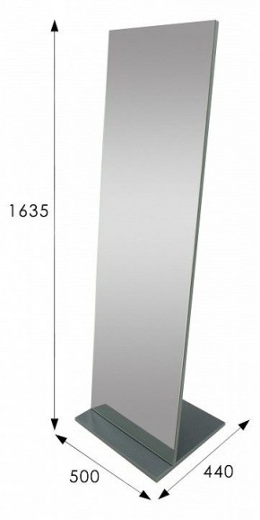 Зеркало напольное Стелла 2 в Троицке - troick.mebel24.online | фото 9